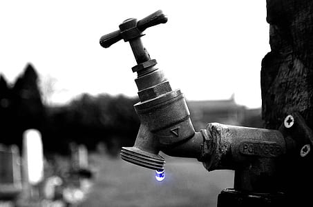 gray water faucet mounted on tree trunk thumbnail