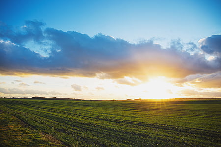 green grass field thumbnail