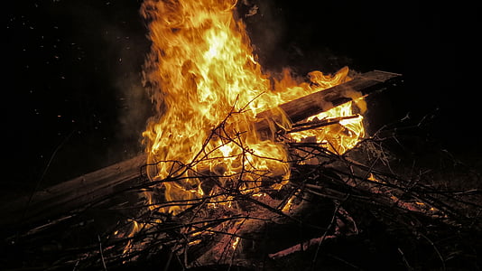 firewood thumbnail