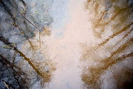water reflection of trees thumbnail