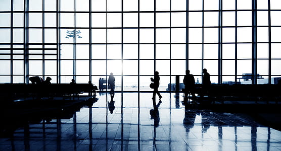 Silhouette of People Walking Inside Building thumbnail