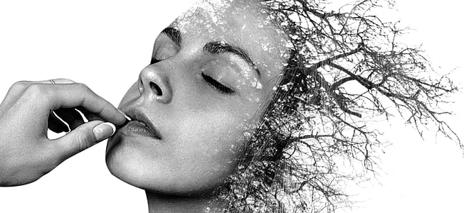 optical illusion of woman and bare tree thumbnail