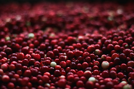 macro photography of red fruit lot thumbnail