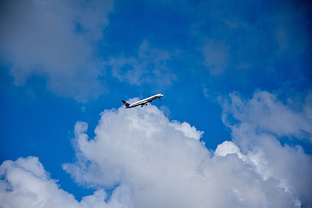low-angle view of airplane thumbnail