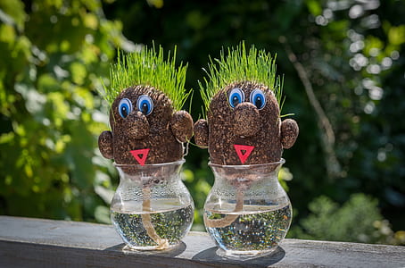 two man decor in glass vases thumbnail