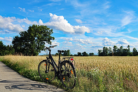black city bike parked on grass field thumbnail