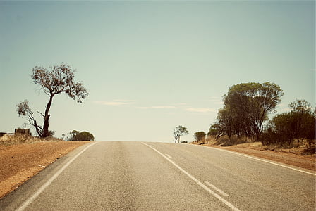 gray road between trees thumbnail
