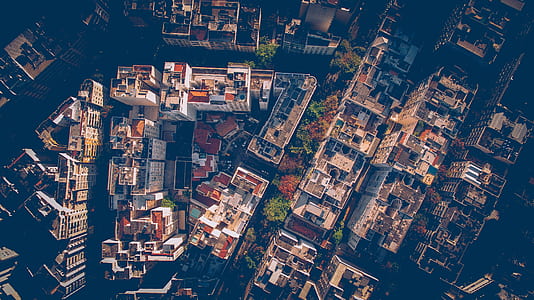 aerial photography of city with high rise buildings thumbnail