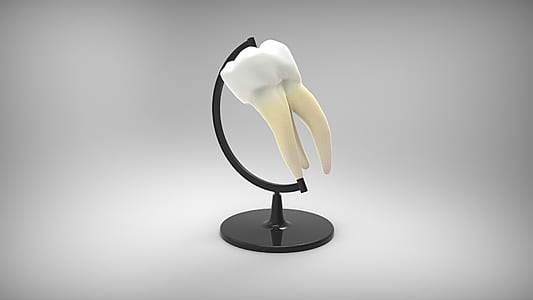 white human tooth on black stand thumbnail
