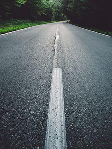 gray concrete road beside trees thumbnail