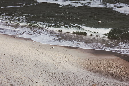 seashore in aerial photography thumbnail