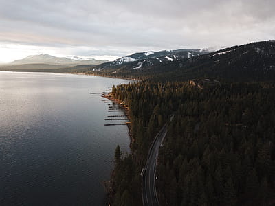 Aerial Photography of Dense Forest Near Body of Water thumbnail