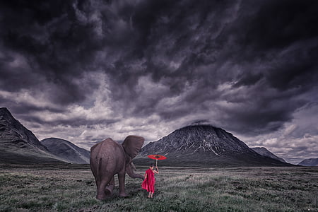 elephant on green grass field painting thumbnail