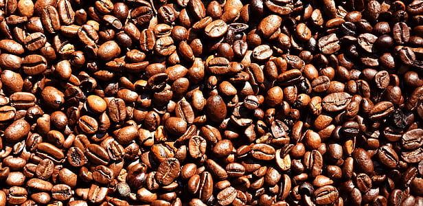 top-view photo of pile of coffee beans thumbnail