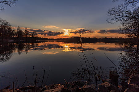 trees near body of water thumbnail