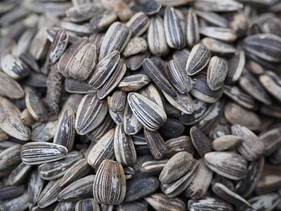 sunflower seeds selective-focus photography thumbnail