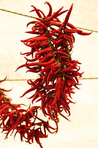 red chili thumbnail