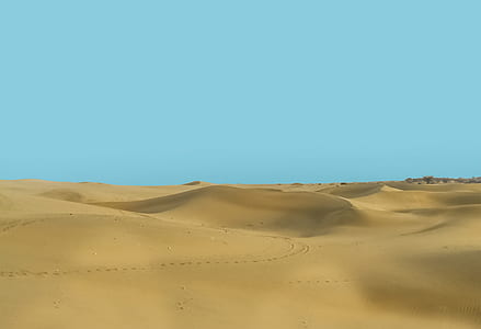 desert field at daytime thumbnail