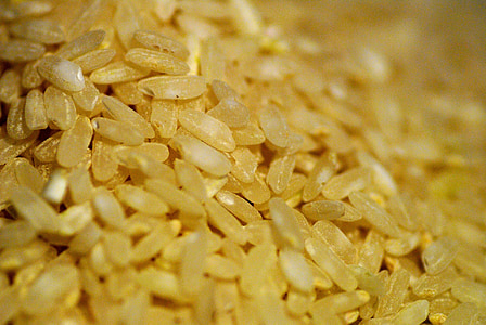 rice mill thumbnail