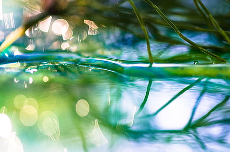 body of water near grass thumbnail