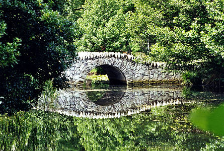 brown concrete bridge near lake thumbnail