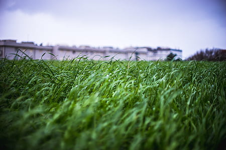 landscape, sky, field, agriculture thumbnail