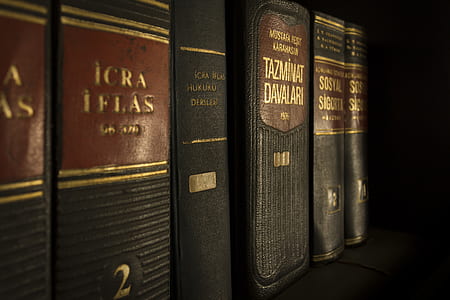 black-and-brown book series thumbnail