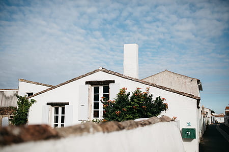 white house near flowers under blue sky thumbnail