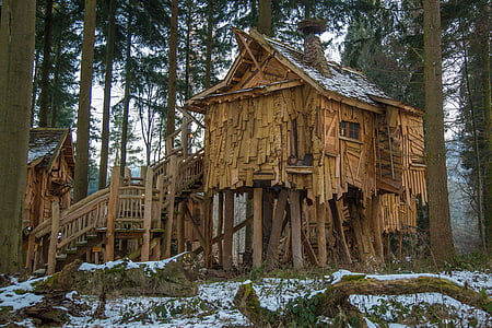brown house beside tree thumbnail