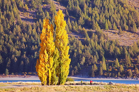 landscape, nature, people, trees thumbnail