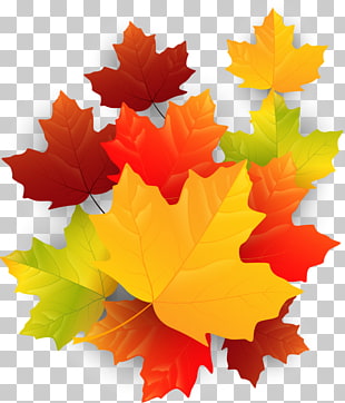 Osennie Listya 8 Skachat Klipart Besplatno Clipart Db