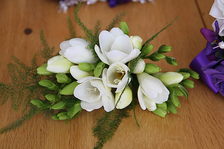 closeup photo of white petaled flowers thumbnail
