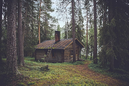 brown cabin on forest taken during daytime thumbnail
