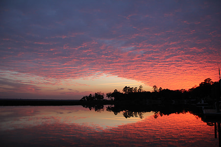 silhouette photo of trees near body of water thumbnail