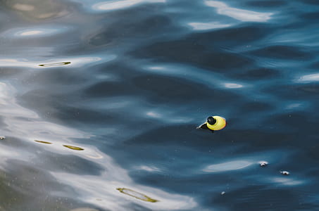 body of water thumbnail