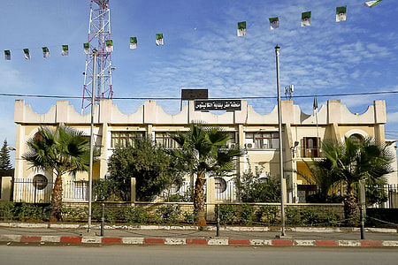Tropical trees and buildings in Algiers, Algeria thumbnail