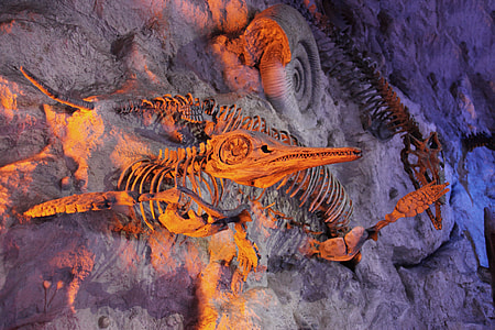 animal skeleton decor thumbnail