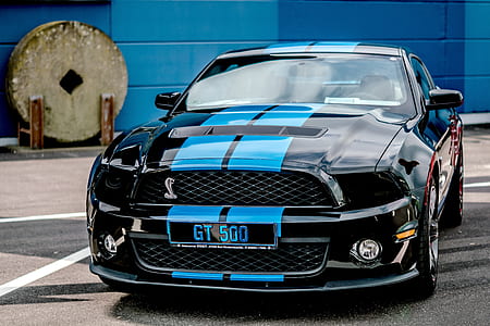 black and blue Ford Mustang GT 500 coupe on asphalt surface thumbnail