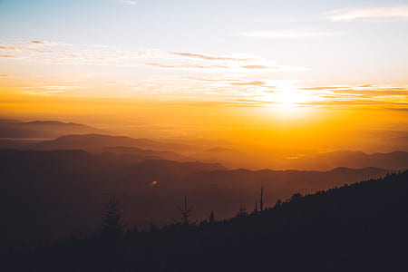 silhouette of trees under orange and white cloudy sky thumbnail