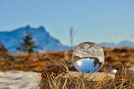 Glass Ball on Brown Nest thumbnail