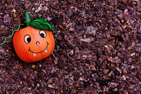 orange pumpkin on brown surface thumbnail