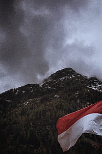 landscape photography of mountain with forest thumbnail