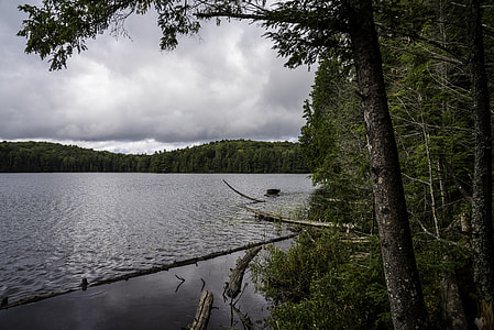 Landscape of Jack Lake in Algonquin Provincial Park, Ontario thumbnail