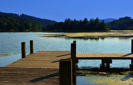 brown wooden dock on body of water at daytime thumbnail