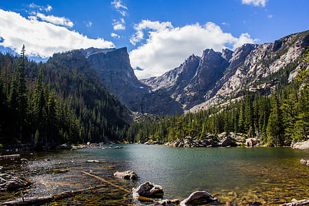 river surrounded by trees thumbnail
