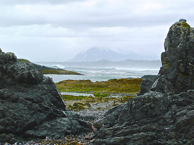 gray rock fragment thumbnail