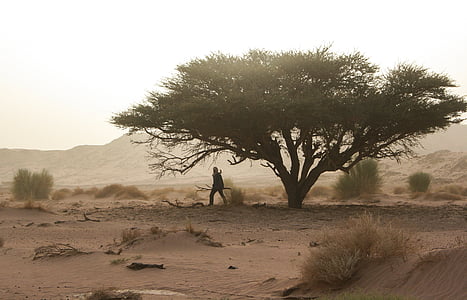 man walking under green tree during daytime thumbnail