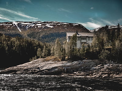 white house surrounded by green leafed trees near ocean water during daytime thumbnail