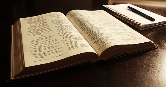 open page book thumbnail