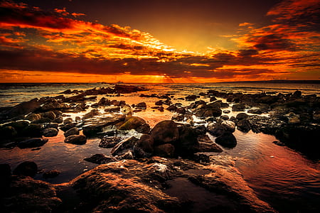 light, sea, dawn, landscape thumbnail